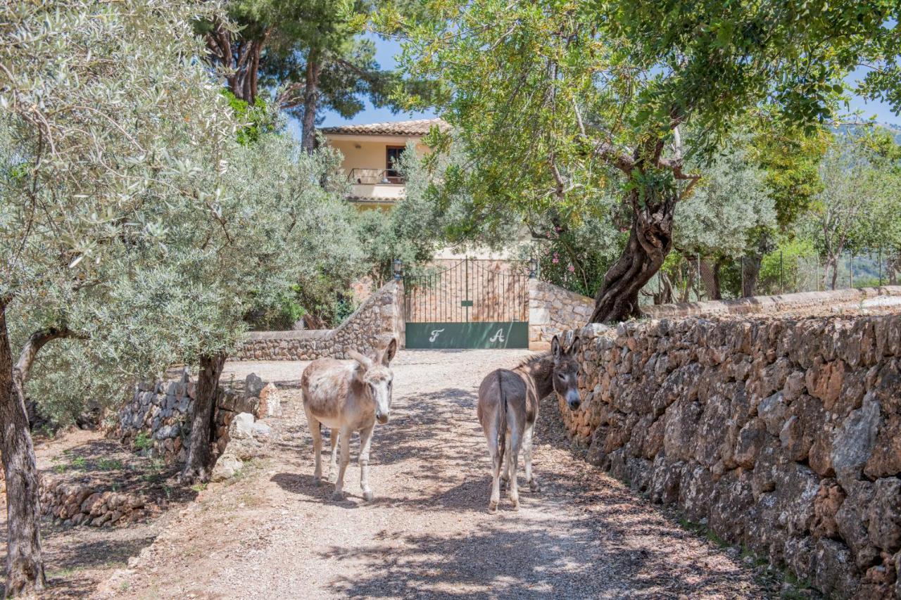 Raco De Soller Villa Eksteriør bilde