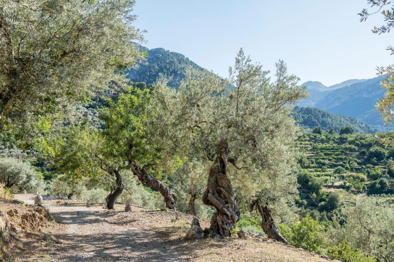 Raco De Soller Villa Eksteriør bilde