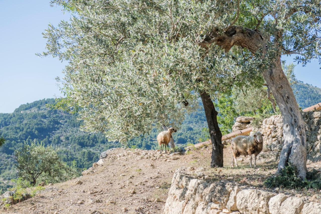 Raco De Soller Villa Eksteriør bilde